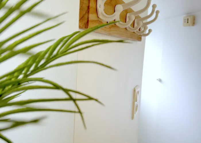 Le Nid Douillet - Duplex Bois & Charme 度假居 Mauleon